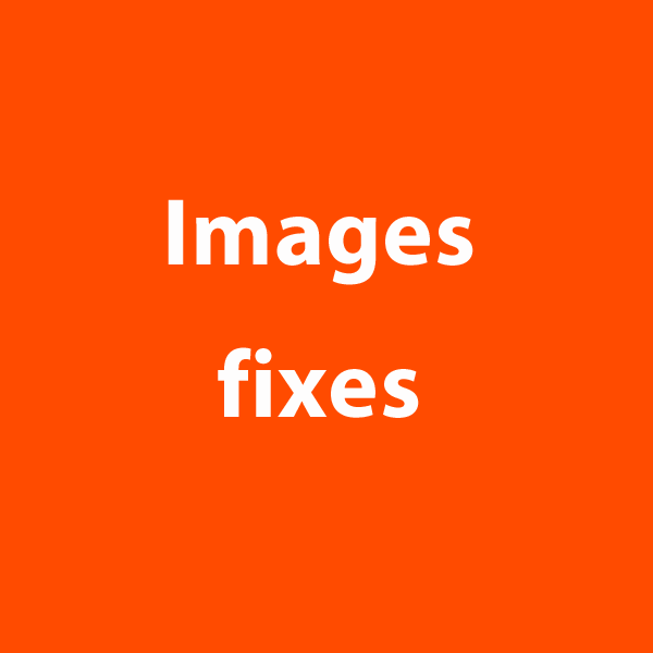 bouton "images fixes" à cliquer sur le site de cécile briand