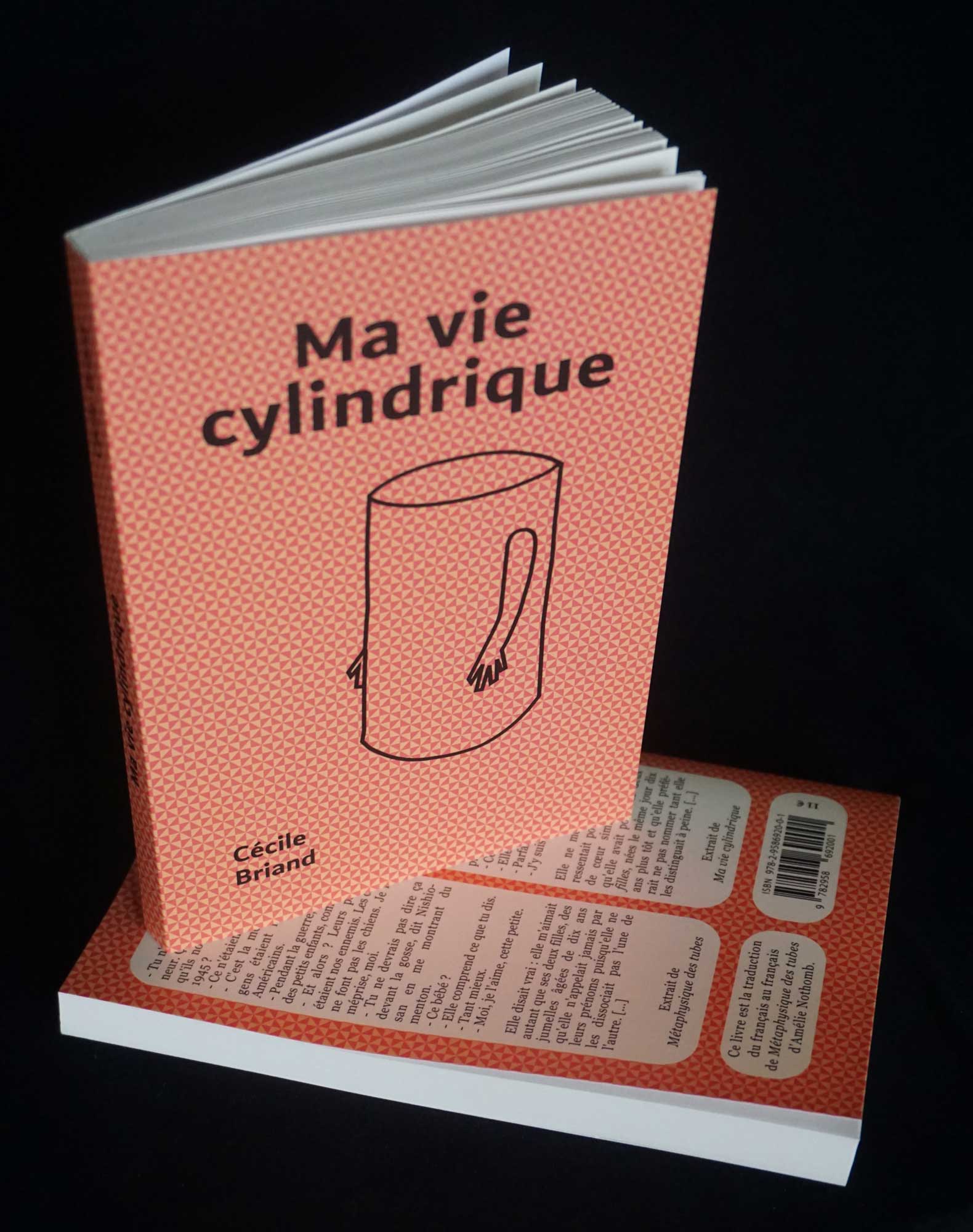 view 3 of the book ma vie cylindrique cécile briand