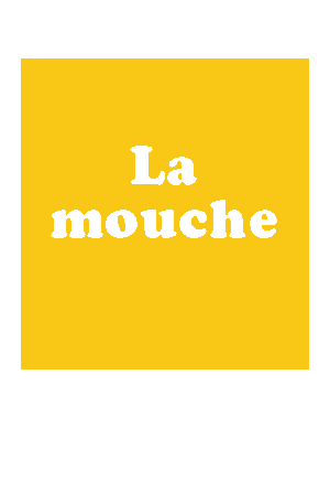 gif_la_mouche_tirette_cecile_briand