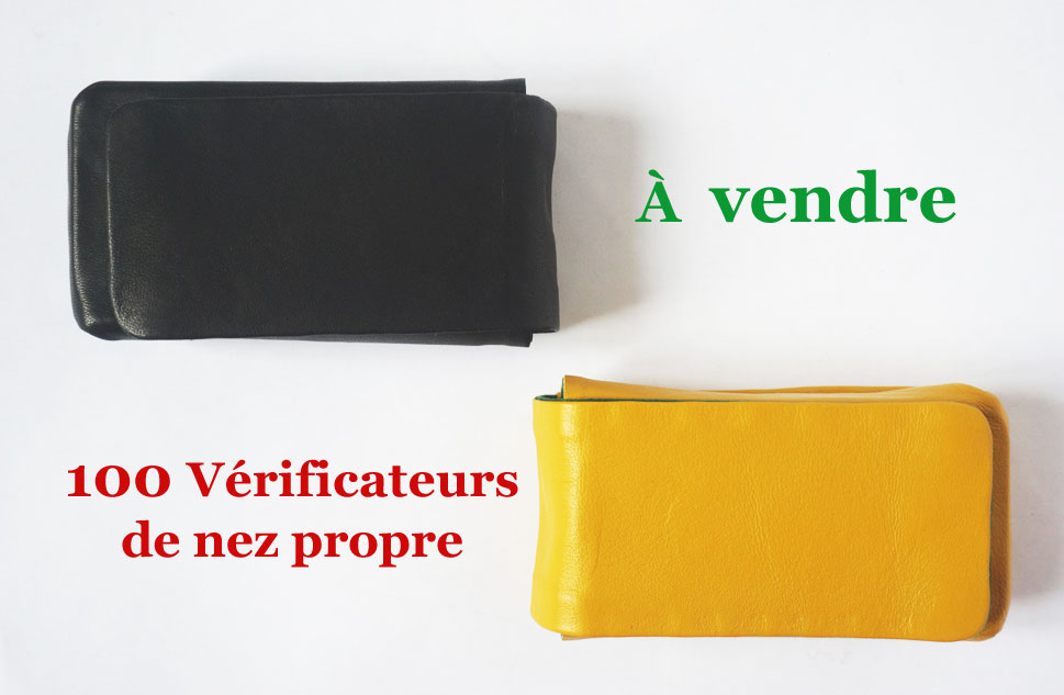 image_introduction_verificateur_de_nez_propre image_introduction_verificateur_de_nez_propre