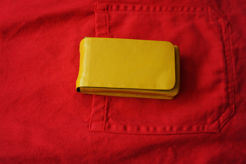 verificateur_jaune_cecile_briand verificateur_jaune_cecile_briand