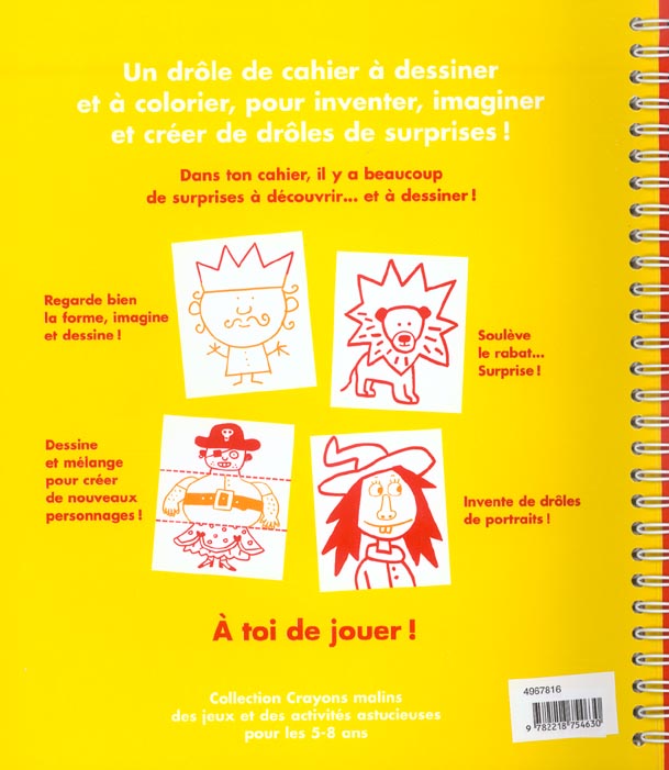 dos_couverture_dessins_surprises_cecile_briand