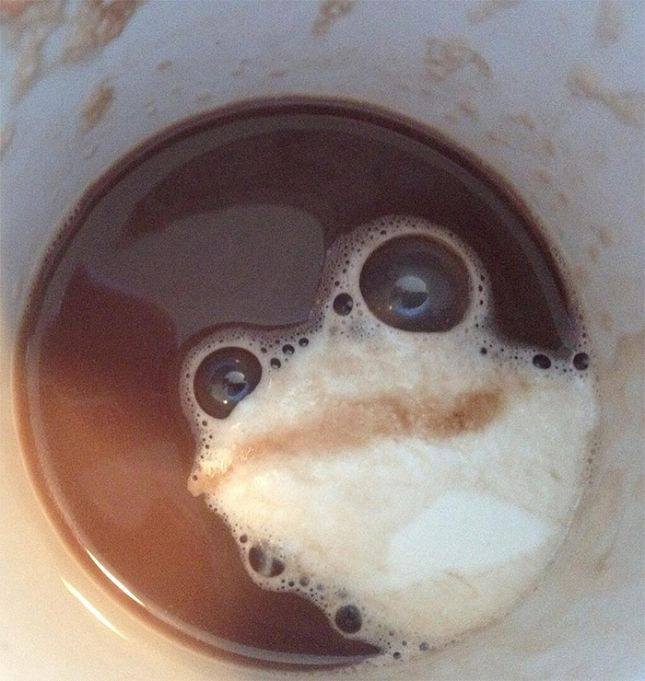 a frog in the coffee foam