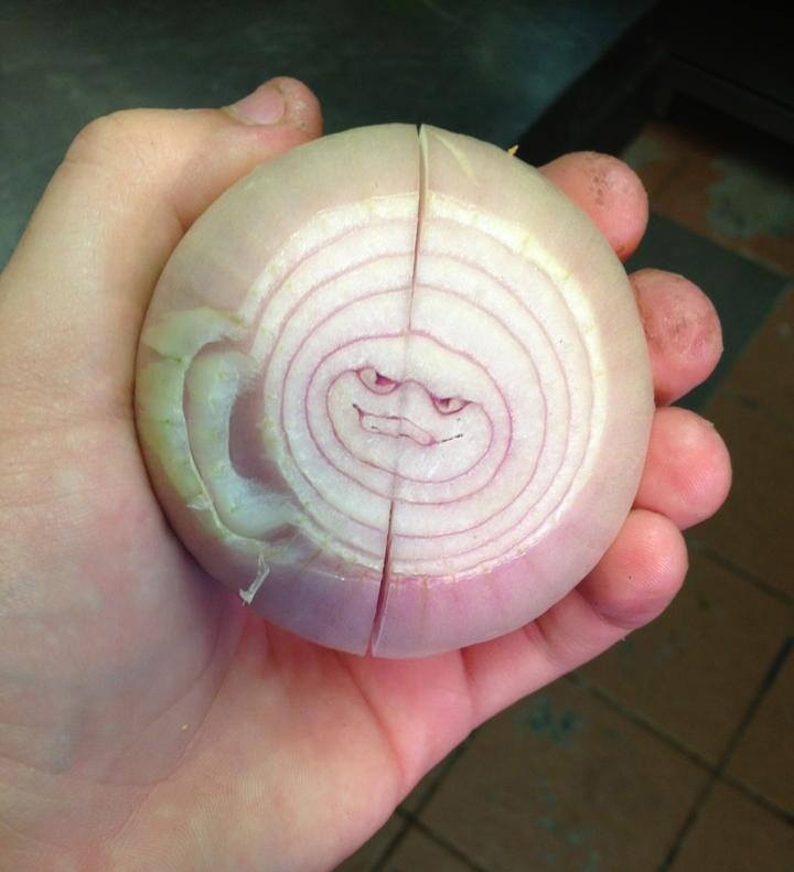 a face in an onion